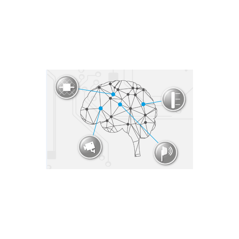 CIAS Synapses