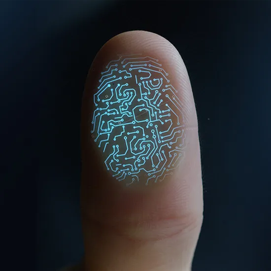 identificación de huellas dactilare